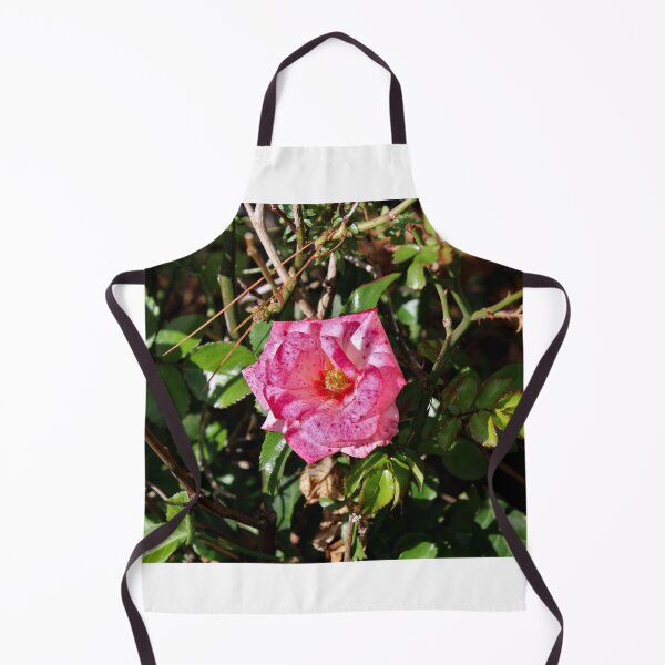 Item preview, Pink rose  designed and sold by McFleur's Lens.