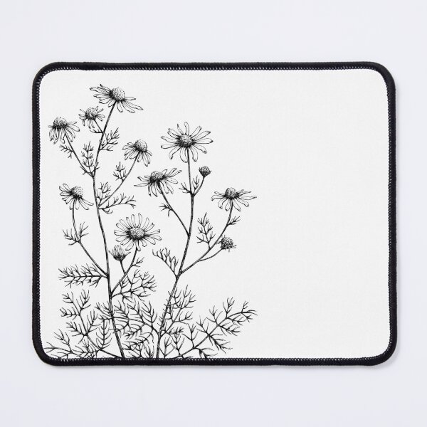 Item preview, Chamomile Matricaria camomilla Drawing Ink designed and sold by HoldasGarten.