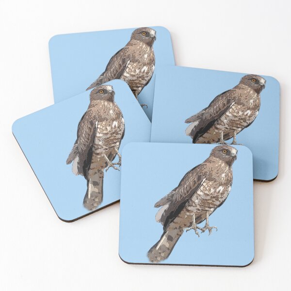Item preview, Short-toed Snake-Eagle Color Design  designed and sold by designsasstultd.