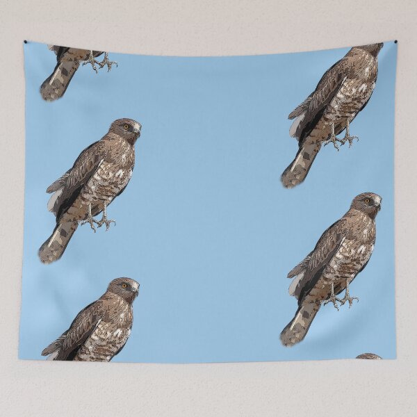 Item preview, Short-toed Snake-Eagle Color Design  designed and sold by designsasstultd.