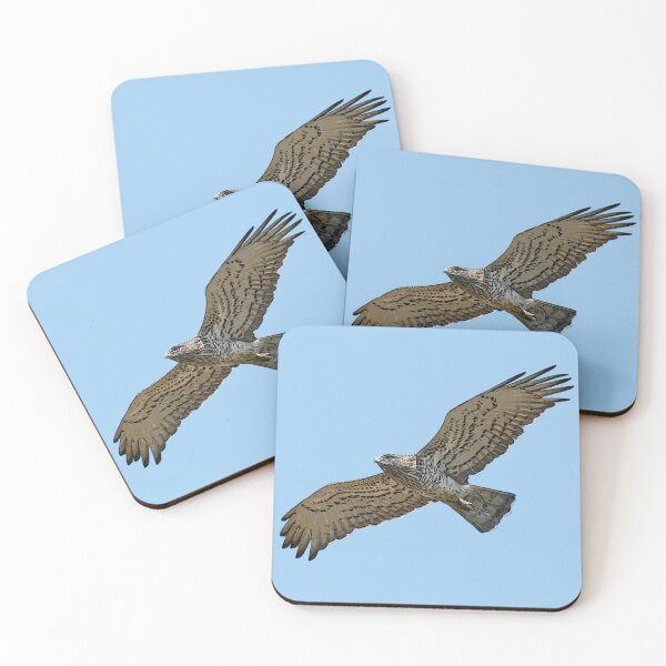 Item preview, Short-toed Snake-Eagle Flying Color Design  designed and sold by designsasstultd.