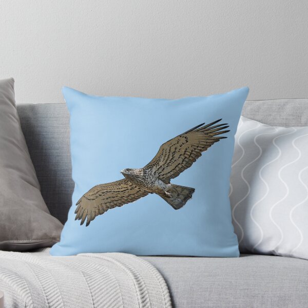 Item preview, Short-toed Snake-Eagle Flying Color Design  designed and sold by designsasstultd.