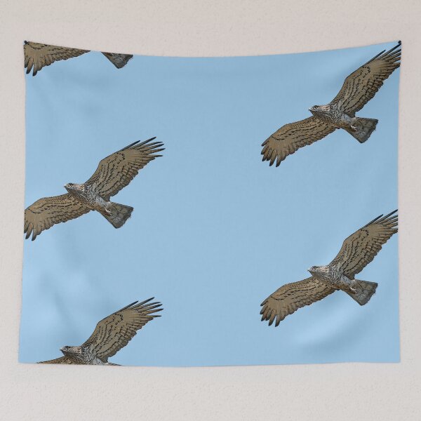 Item preview, Short-toed Snake-Eagle Flying Color Design  designed and sold by designsasstultd.