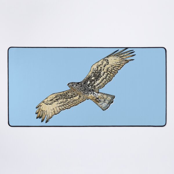 Item preview, Short-toed Snake-Eagle Flying Black Alternate Design designed and sold by designsasstultd.