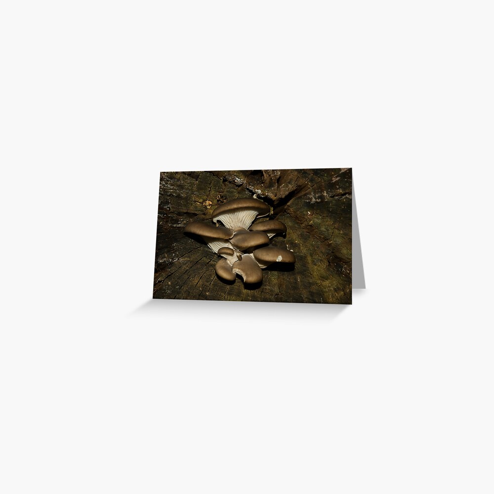 Item preview, Greeting Card designed and sold by steppeland.