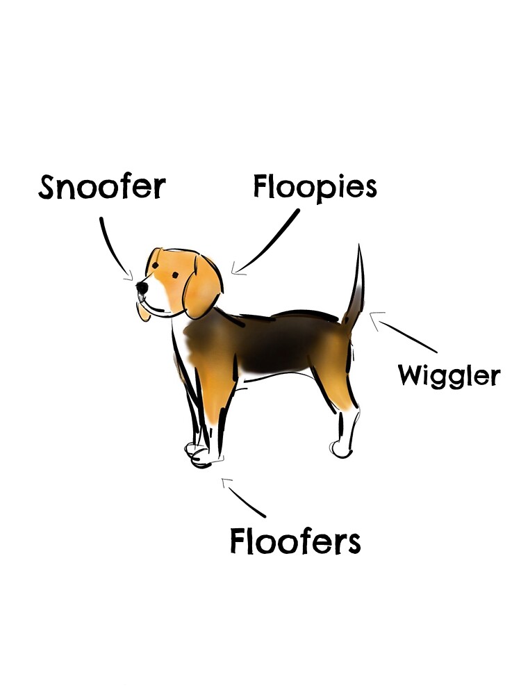 "Beagle Diagram" Sticker by Lifewithadog Redbubble