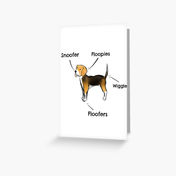 "Beagle Diagram" Greeting Card by Lifewithadog Redbubble