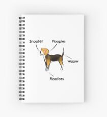 Beagle-Diagramm Spiralblock