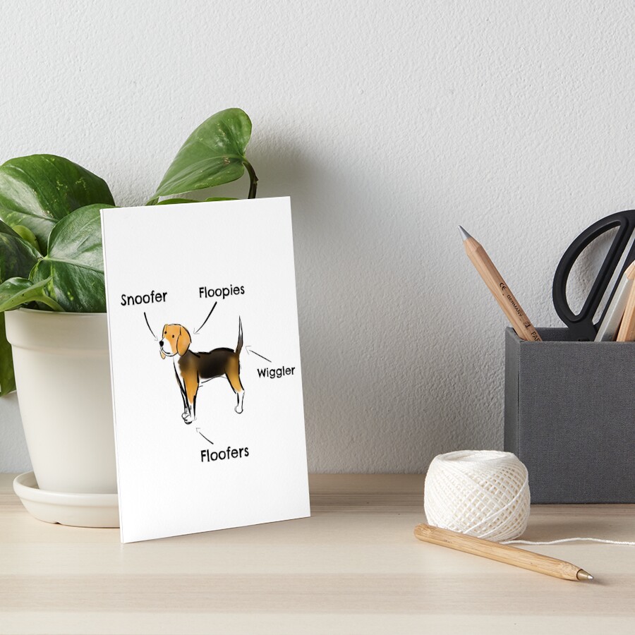 "Beagle Diagram" Art Board Print for Sale by Lifewithadog Redbubble