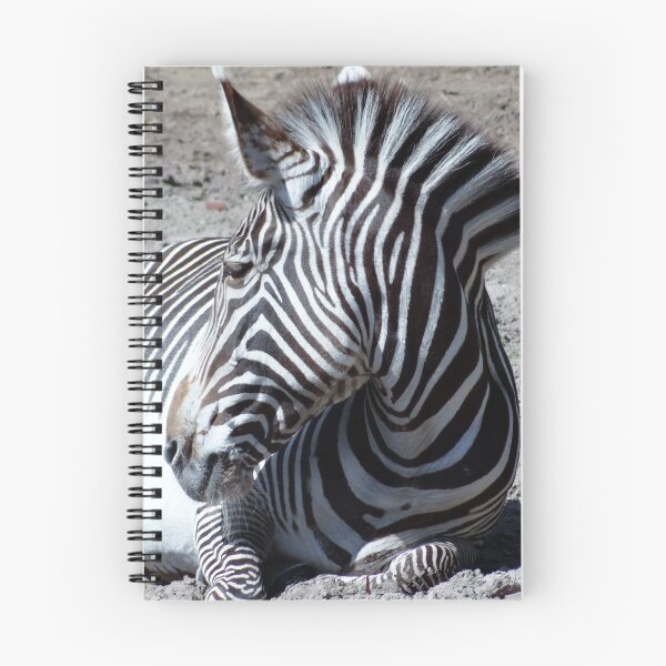 Item preview, Cheeky Zebra designed and sold by Katrina  Brown.