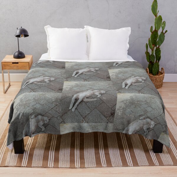 Item preview, Funny cute British shorthair cat photography lying on the back designed and sold by n-l-celebration.