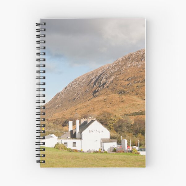 Item preview, Biddy's O'Barnes designed and sold by Adrian McGlynn.