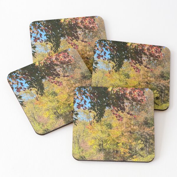 Item preview, A Nice Autumn Nature Walk By the Pond  designed and sold by CJRPics.