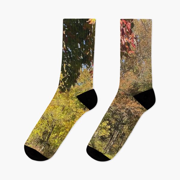 Item preview, A Nice Autumn Nature Walk By the Pond  designed and sold by CJRPics.
