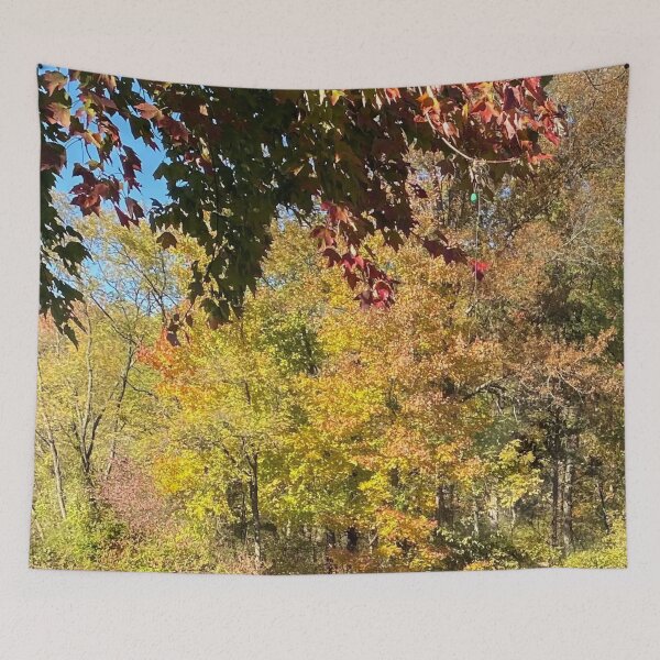 Item preview, A Nice Autumn Nature Walk By the Pond  designed and sold by CJRPics.