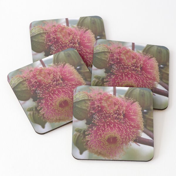 Item preview, A Cluster Of Eucalyptus Flowers designed and sold by lezvee.
