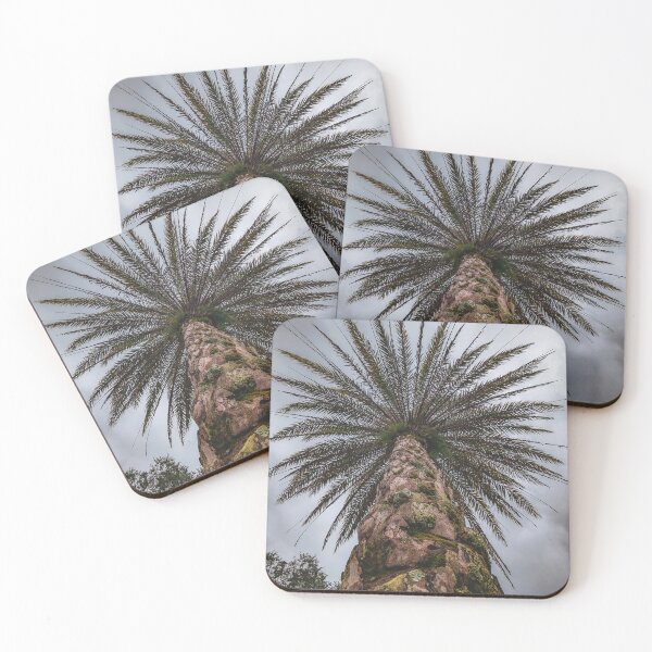 Item preview, Palm Tree designed and sold by LNC-PHOTOGRAPHY.