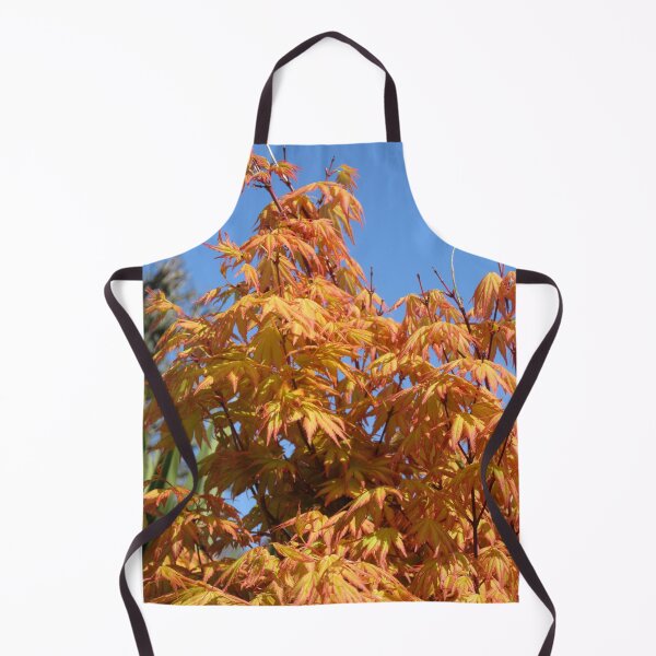 Item preview, Golden Acer (Acer palmatum) designed and sold by lezvee.