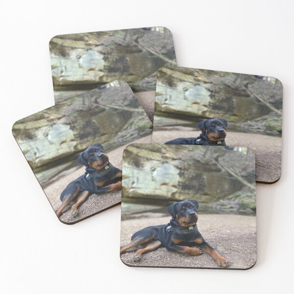 Item preview, Handsome Rottweiler out in nature designed and sold by Ssmith2011.