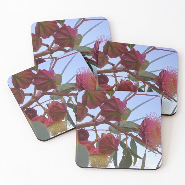 Item preview, Kingsmill's Mallee With Buds designed and sold by lezvee.