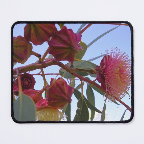 Item preview, Kingsmill's Mallee With Buds designed and sold by lezvee.