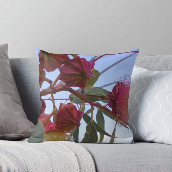 Item preview, Kingsmill's Mallee With Buds designed and sold by lezvee.