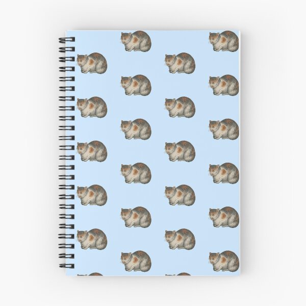Item preview, Ugly medieval cat -  cat loaf designed and sold by Grey House.
