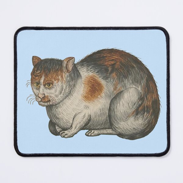 Item preview, Ugly medieval cat - cat loaf designed and sold by Grey House.