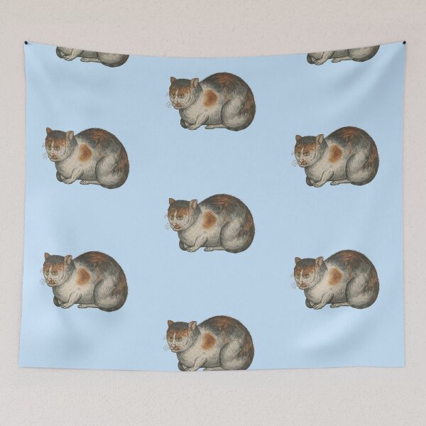 Item preview, Ugly medieval cat -  cat loaf designed and sold by Grey House.