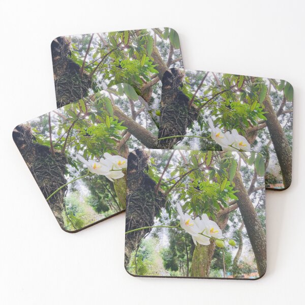 Item preview, Eco Diverse Orchid designed and sold by lovethephotooz.