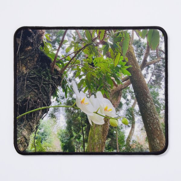 Item preview, Eco Diverse Orchid designed and sold by lovethephotooz.