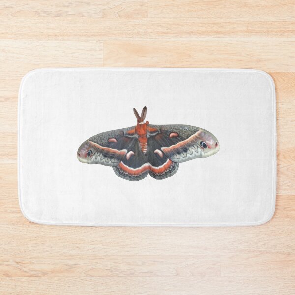 Item preview, Robin Moth: Hyalophora cecropia designed and sold by Entomologist.
