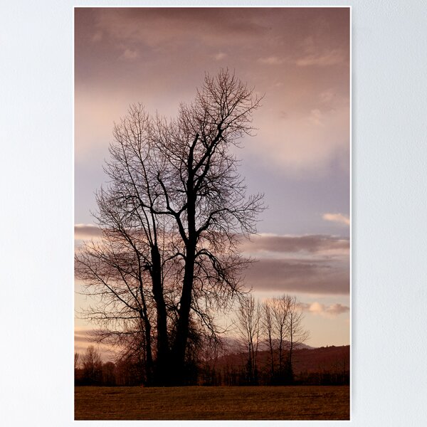 Item preview, As the Day Ends designed and sold by MaluC.