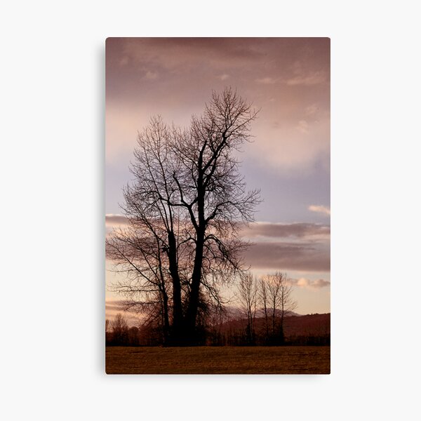 Item preview, As the Day Ends designed and sold by MaluC.