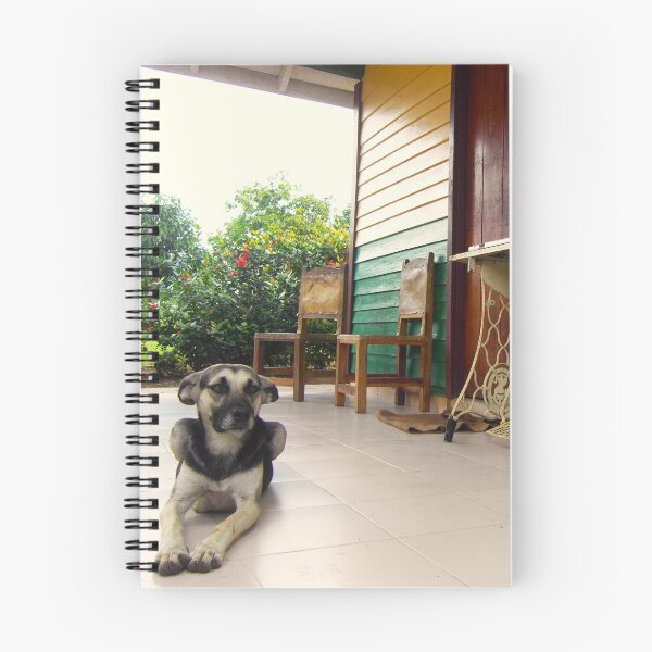 Item preview, Cuban dog on a porch designed and sold by Topmel.