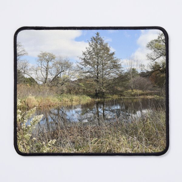 Item preview, November Pond designed and sold by Kathleen Brant.