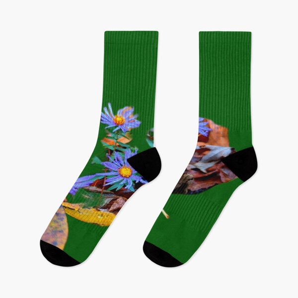 Item preview, Aster designed and sold by ontological.