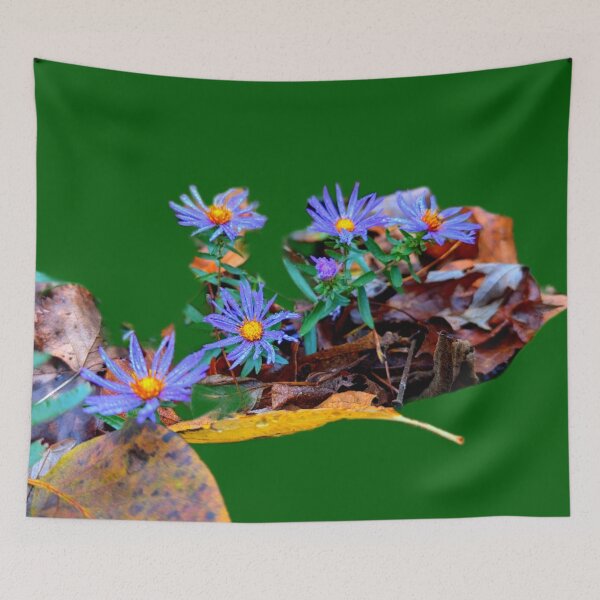 Item preview, Aster designed and sold by ontological.