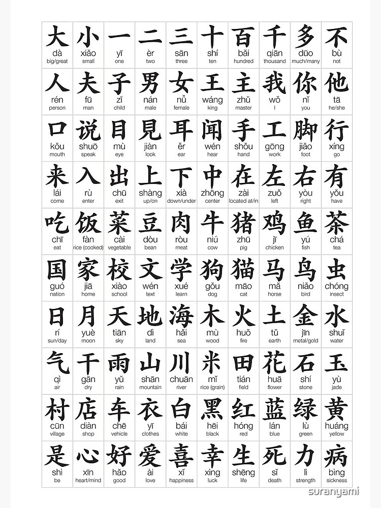  100 Most Common Chinese Characters Spiral Notebook For Sale By 