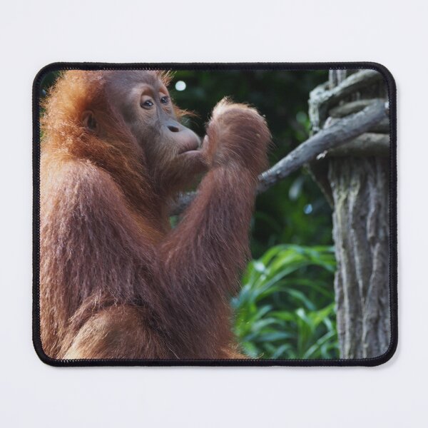 Item preview, Orangután designed and sold by fab2can.