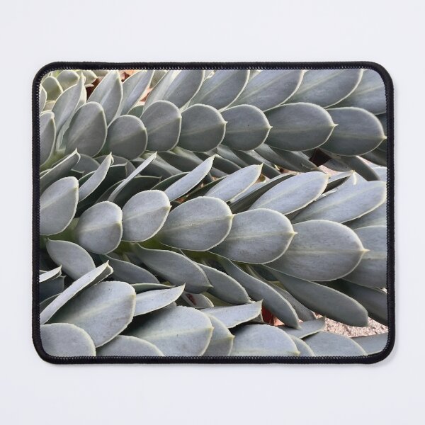 Item preview, Myrtle Spurge designed and sold by Betsy Phillips.