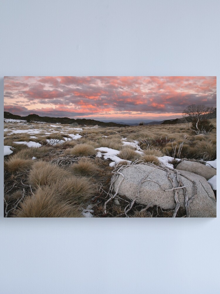 Thumbnail 1 of 3, Canvas Print, Fall's Creek Winter Sunset, Australia designed and sold by Chockstone.