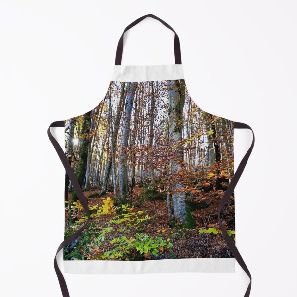 Item preview, Autumn in the forest designed and sold by annalisa56.