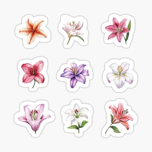 Item preview, Lilies designed and sold by BestLifeHues.