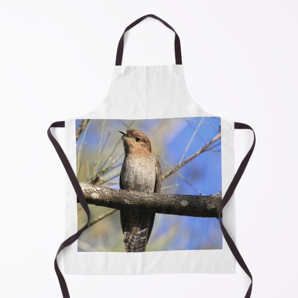 Item preview, Fan-tailed cuckoo perched on a branch designed and sold by BirdsAlive.