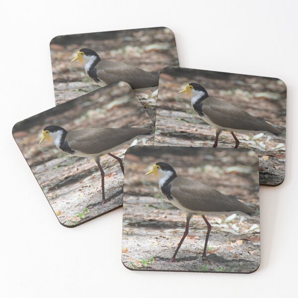 Item preview, Masked lapwing (Plover) designed and sold by BirdsAlive.