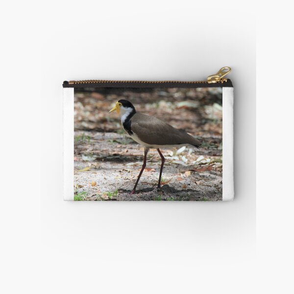Item preview, Masked lapwing (Plover) designed and sold by BirdsAlive.