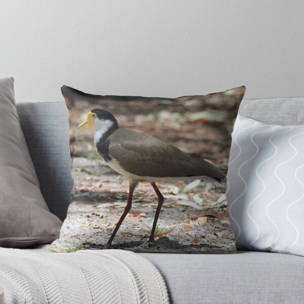 Item preview, Masked lapwing (Plover) designed and sold by BirdsAlive.