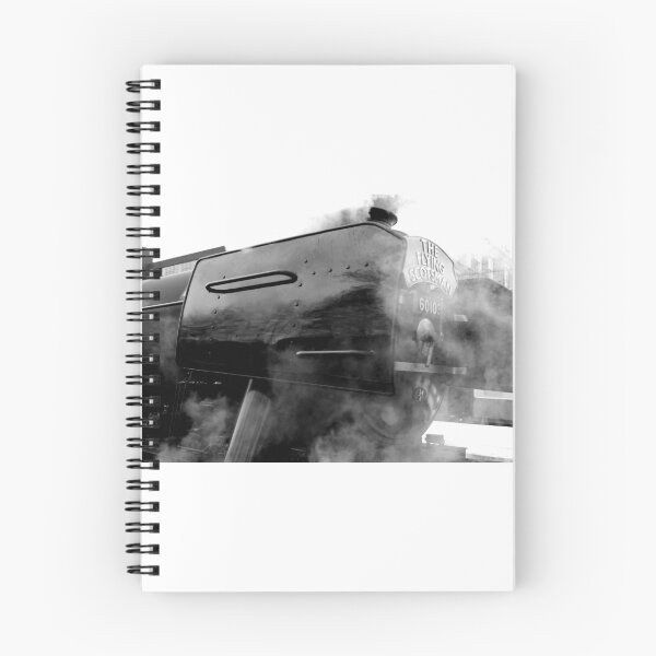 Item preview, The Flying Scotsman designed and sold by LPYLPhotography.