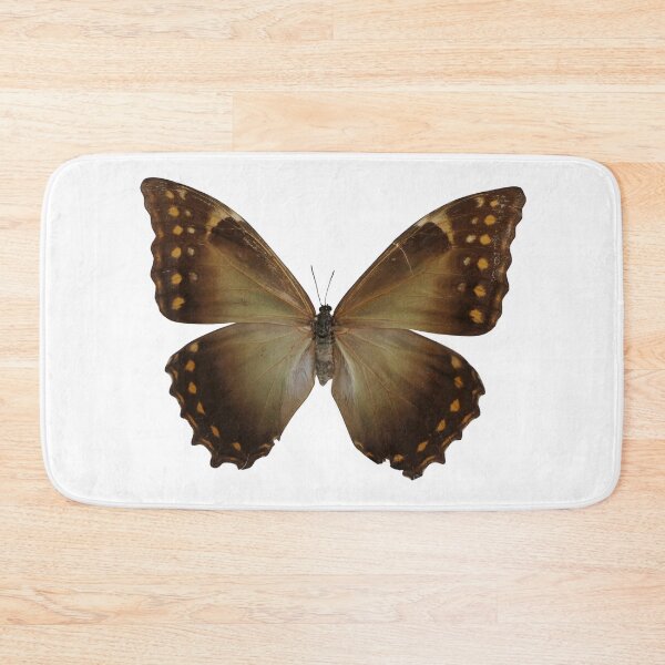 Item preview, Morpho telemachus  designed and sold by Entomologist.